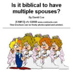 Polygamy: Is it biblical to have multiple spouses? answers this question from the Bible, examining also the practice in the Old Testament.